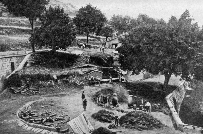 Destillation von Lavendelöl bei Escragonelles (Département des Alpes... Destillation von Lavendelöl bei Escragonelles (Département des Alpes...
