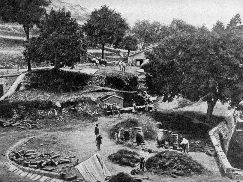Destillation von Lavendelöl bei Escragonelles (Département des Alpes...