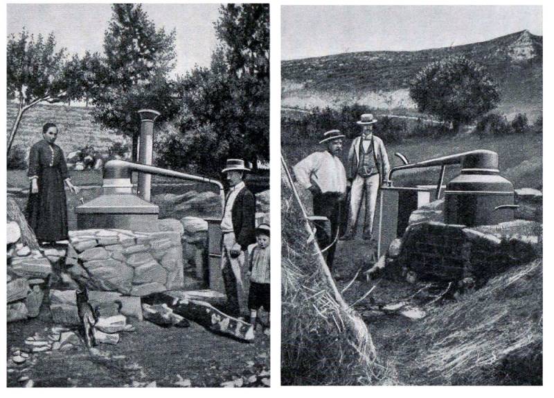 Lavendeldestillation aus der Gegend von Séderon (Basses-Alpes) Lavendeldestillation aus der Gegend von Séderon (Basses-Alpes)