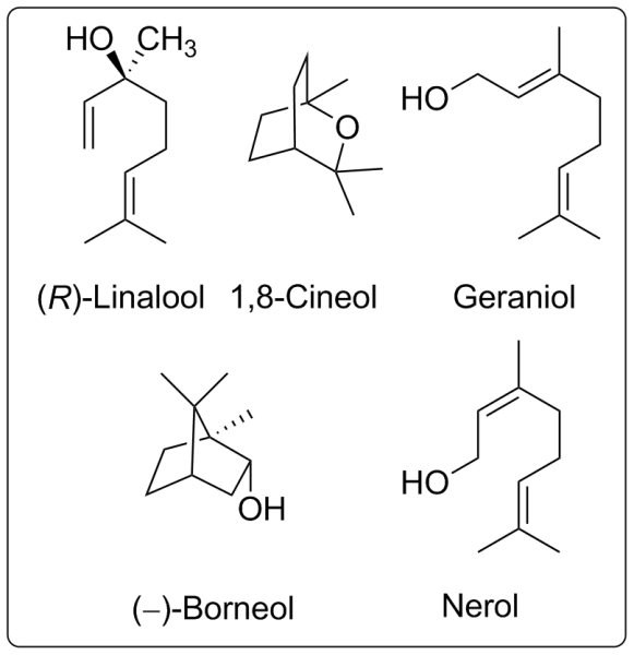 terpene_lav.png terpene_lav.png