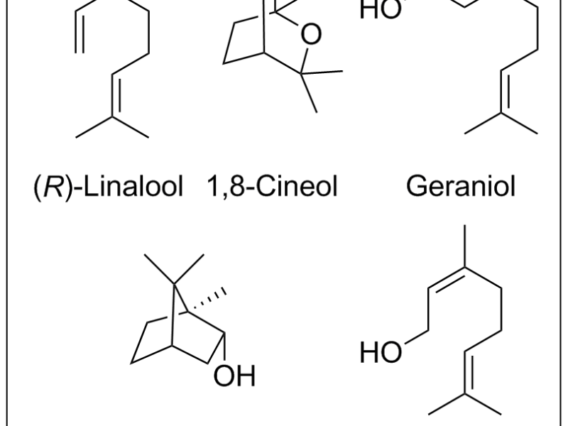 terpene_lav.png